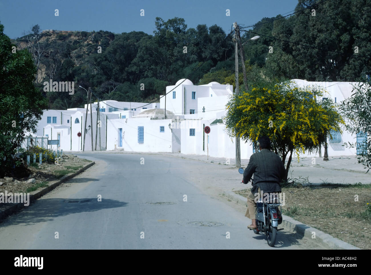 L'homme sur un scooter à Sidi Bou Said, près de Tunis Tunisie Afrique du Nord Banque D'Images
