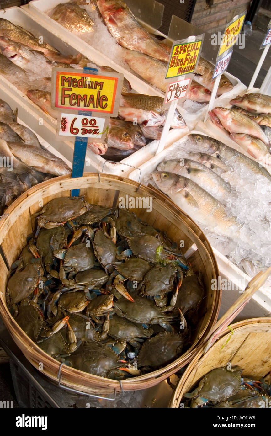 Pour la vente du crabe le long d'une rue, Philadelphie, Pennsylvanie. Banque D'Images