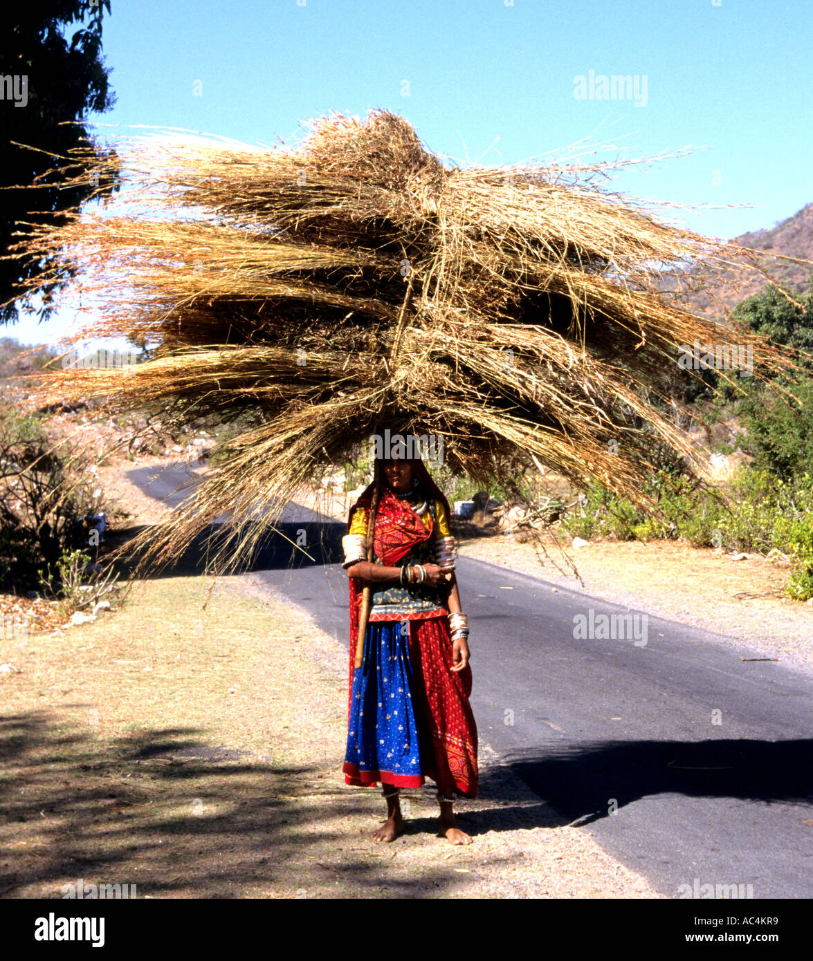 Les Indiens de l'Inde Rajasthan Fermier Fermière Banque D'Images