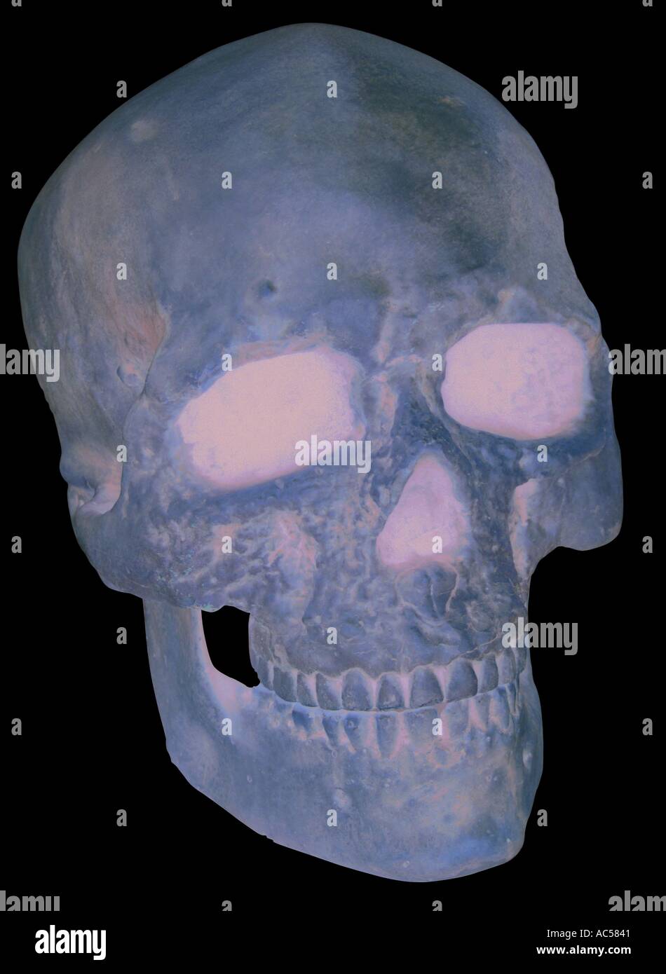 Crâne humain artefacts artefact Artefact jpg jpg crâne humain Banque D'Images