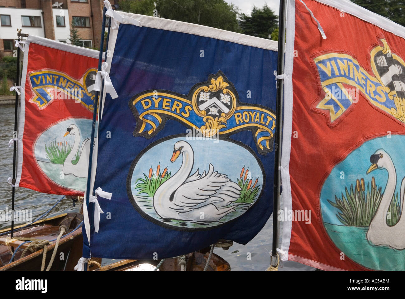 Les drapeaux royaux de Vintner Dyers ont flotté sur les skiffs de Vintners and Dyers Livery Company, de petits bateaux lors de la montée annuelle des cygnes. 2007 2000s Royaume-Uni Banque D'Images