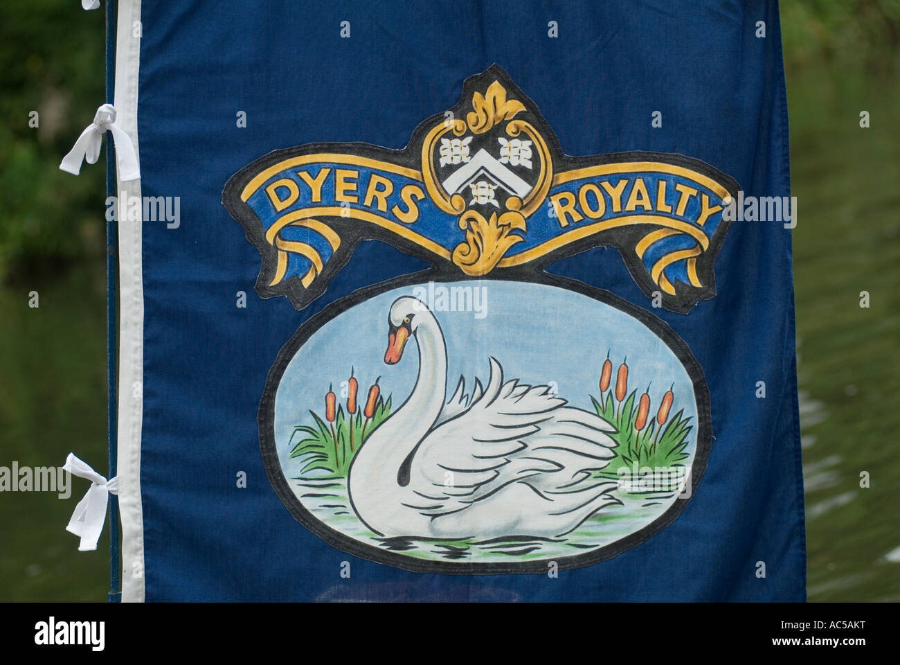 Le drapeau royal des Dyers a flotté sur les skiffs de la Dyers Livery Company, de petits bateaux pendant la montée annuelle des cygnes. ANNÉES 2007 2000 ROYAUME-UNI HOMER SYKES Banque D'Images