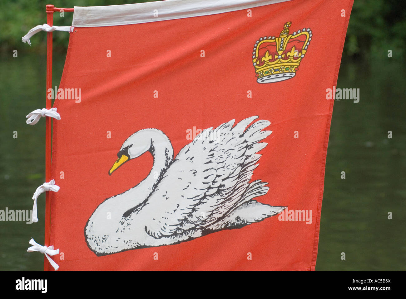 Le drapeau de la royauté Vintner a flotté sur les skiffs de la Vintners Livery Company – de petits bateaux pendant la tradition annuelle de Swan Upping. ANNÉES 2007 2000 ROYAUME-UNI HOMER SYKES Banque D'Images