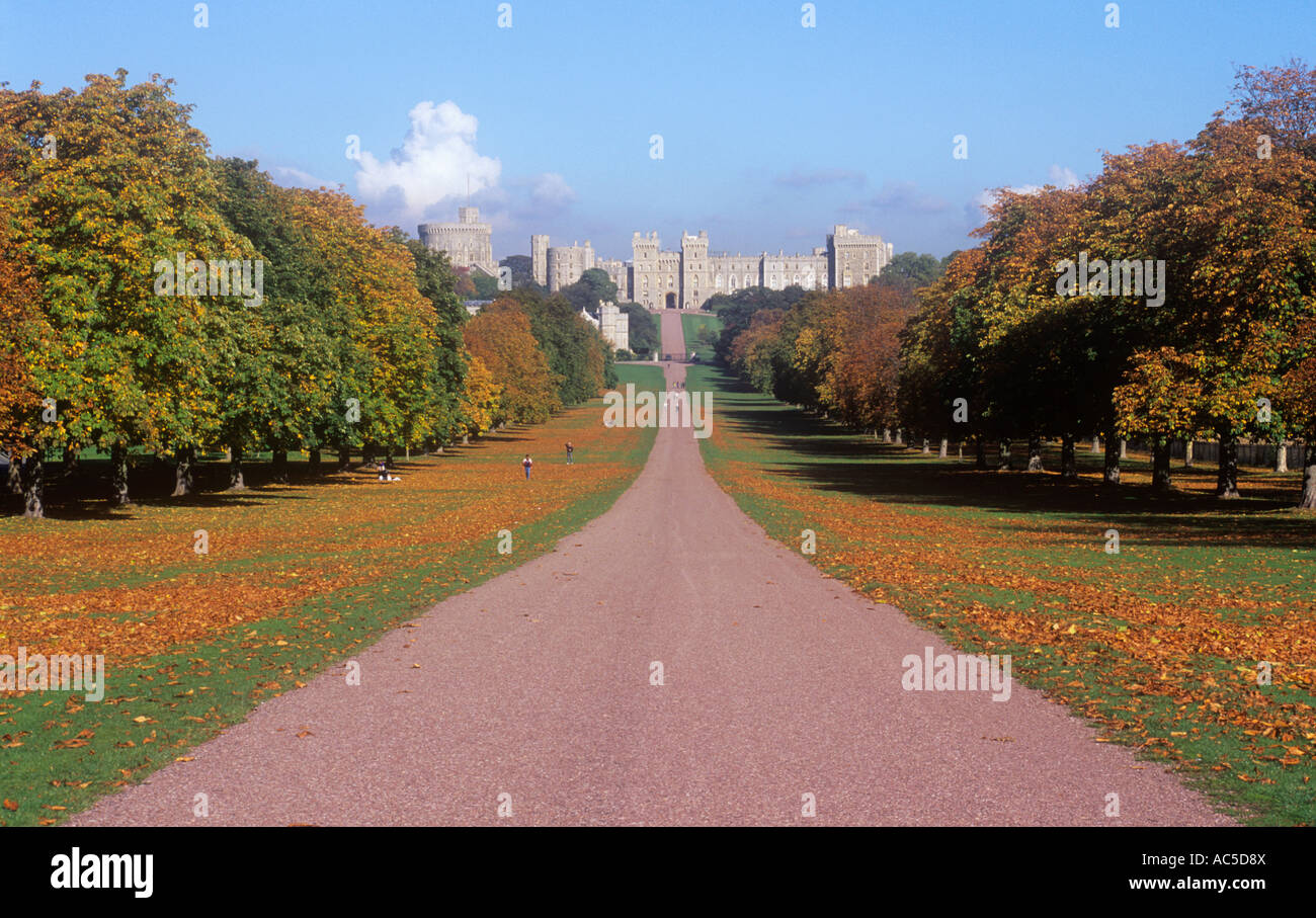 Le Château de Windsor La longue promenade en automne/Fall, Berkshire, Angleterre, Royaume-Uni. Banque D'Images