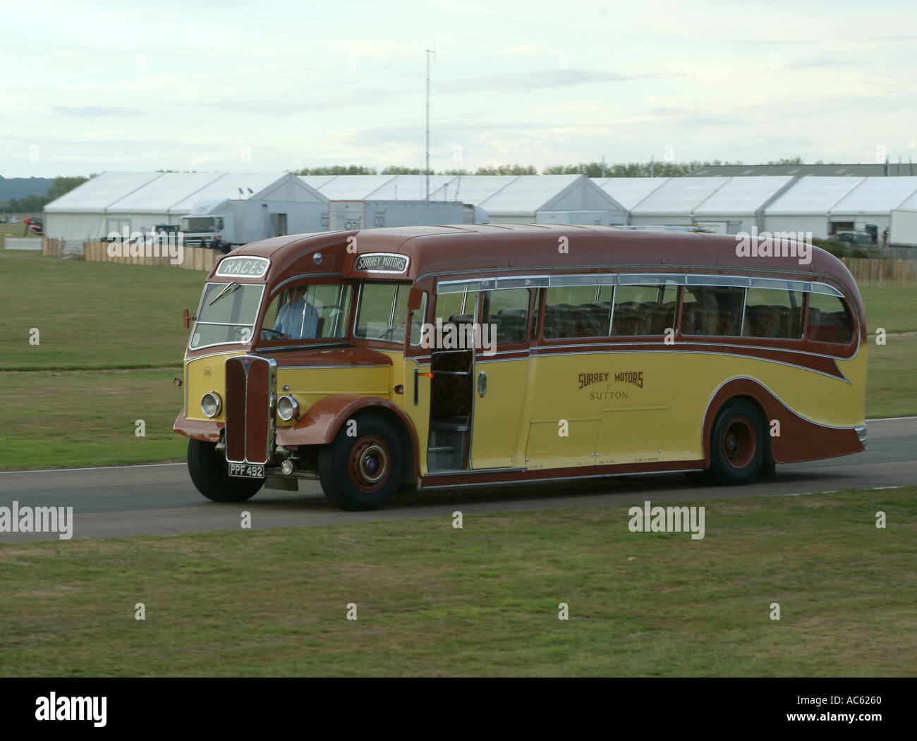 Vieux Moteurs Surrey Bus AEC Regal à Goodwood Revival Meeting 2003 West Sussex England United Kingdom UK Banque D'Images