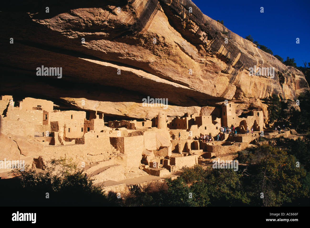Le Palais de la falaise Cliff dwellings Anasazi dans le Parc National de Mesa Verde au Colorado Banque D'Images