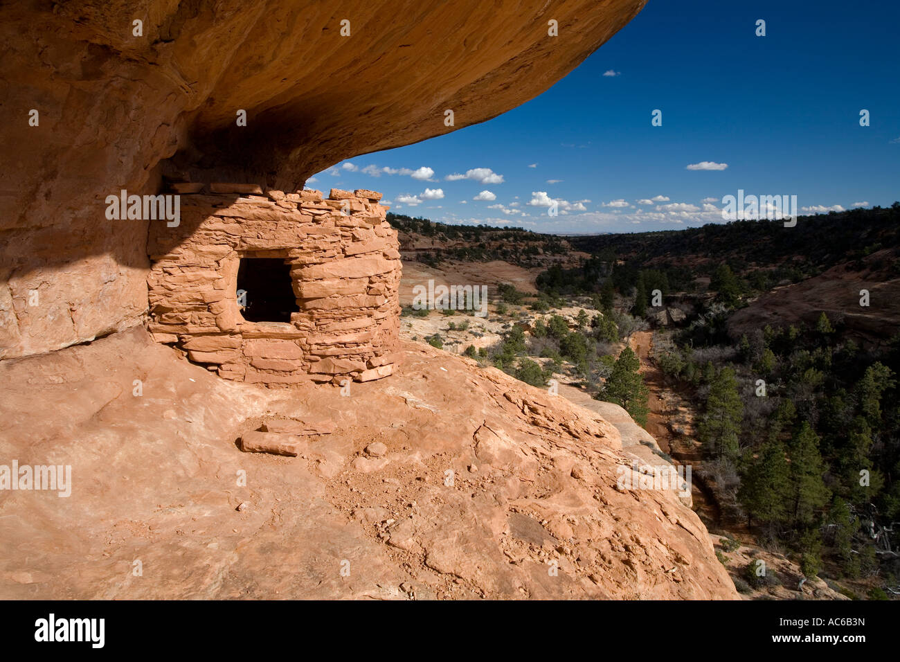 Des ruines indiennes dans la région de North Fork de Mule Canyon Cedar Mesa dans l'Utah, United States Banque D'Images