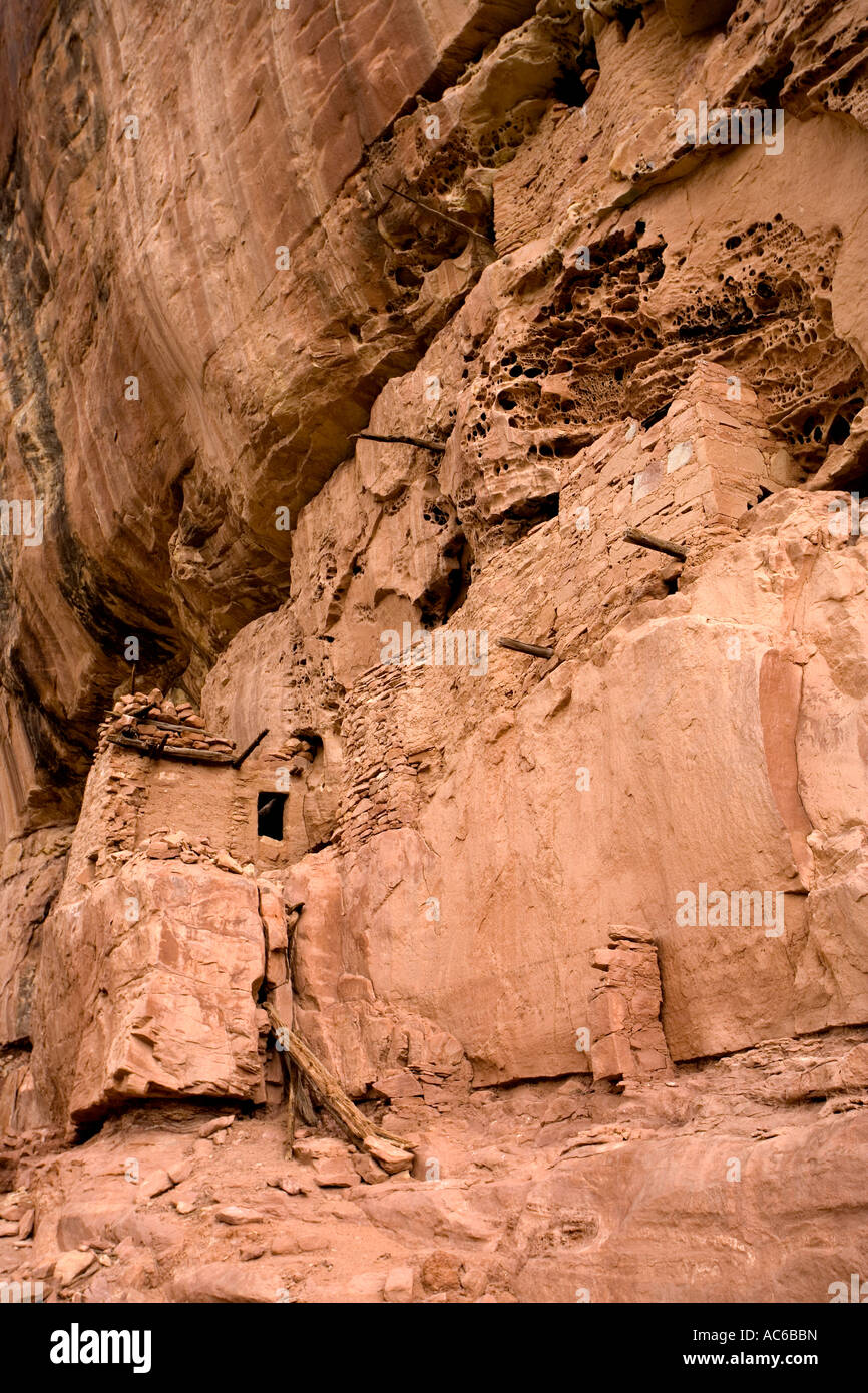 Des ruines indiennes South Fork de Mule Canyon Cedar Mesa dans l'Utah, United States Banque D'Images