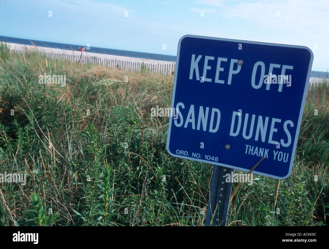 Marcher sur les dunes de sable Banque D'Images
