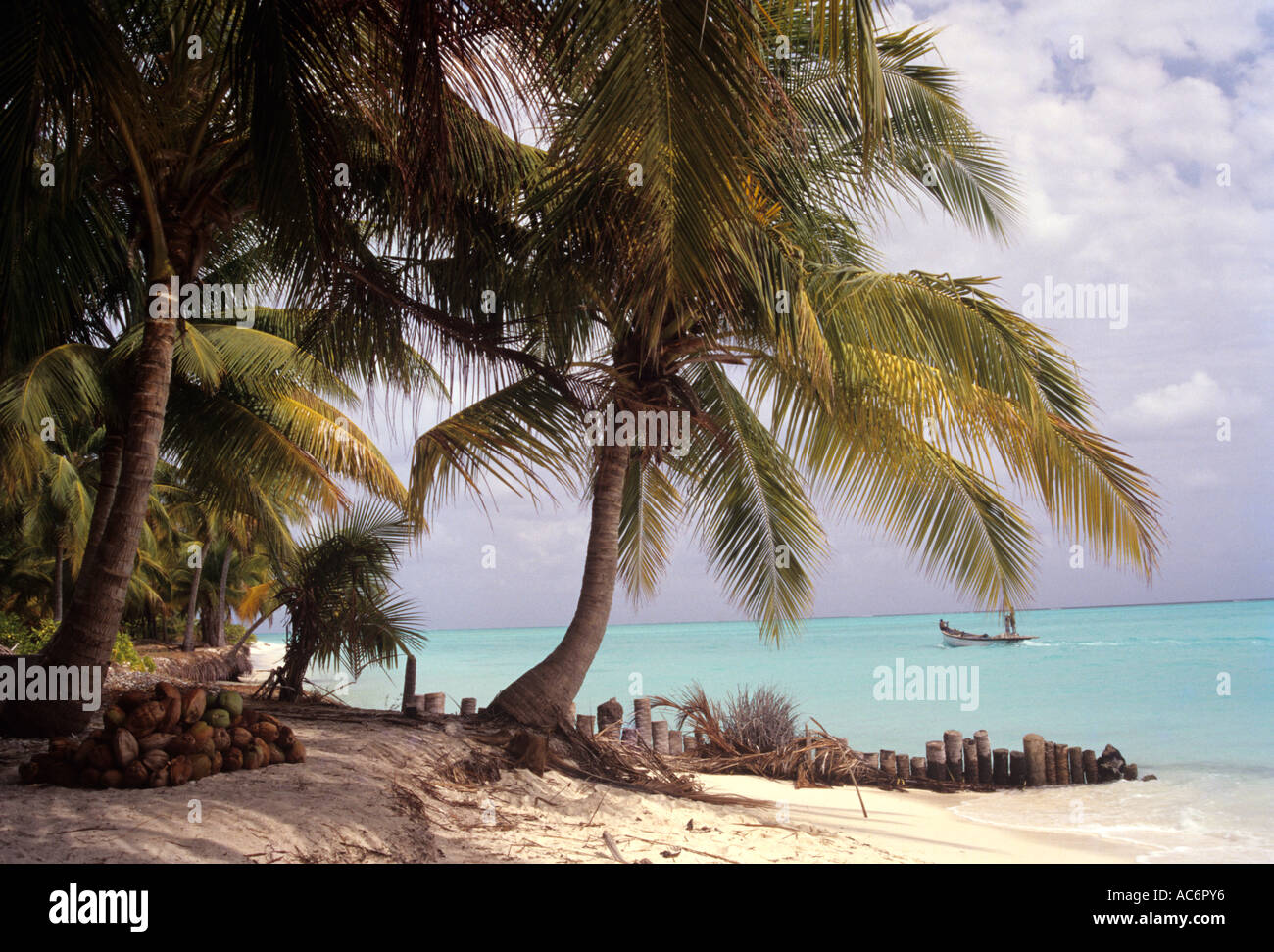 LONE SHORE DE BANGARAM Banque D'Images