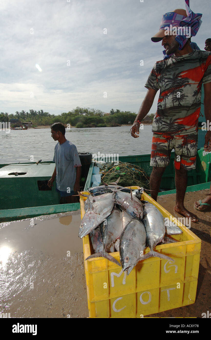 L'industrie de la pêche dans la zone touchée par Boxing Day 2004 Village de Tsunami Sonakuppam au Tamil Nadu en Inde il y a eu distribution de bateaux et filets en plus de la construction d'abris temporaires la lucrative industrie est sur le point de revenir à la production PH Dan White Banque D'Images