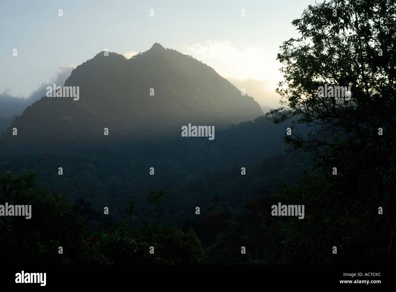 Façon d'SAIRANDHRI SILENT VALLEY NATIONAL PARK PALAKKAD Dist. Banque D'Images