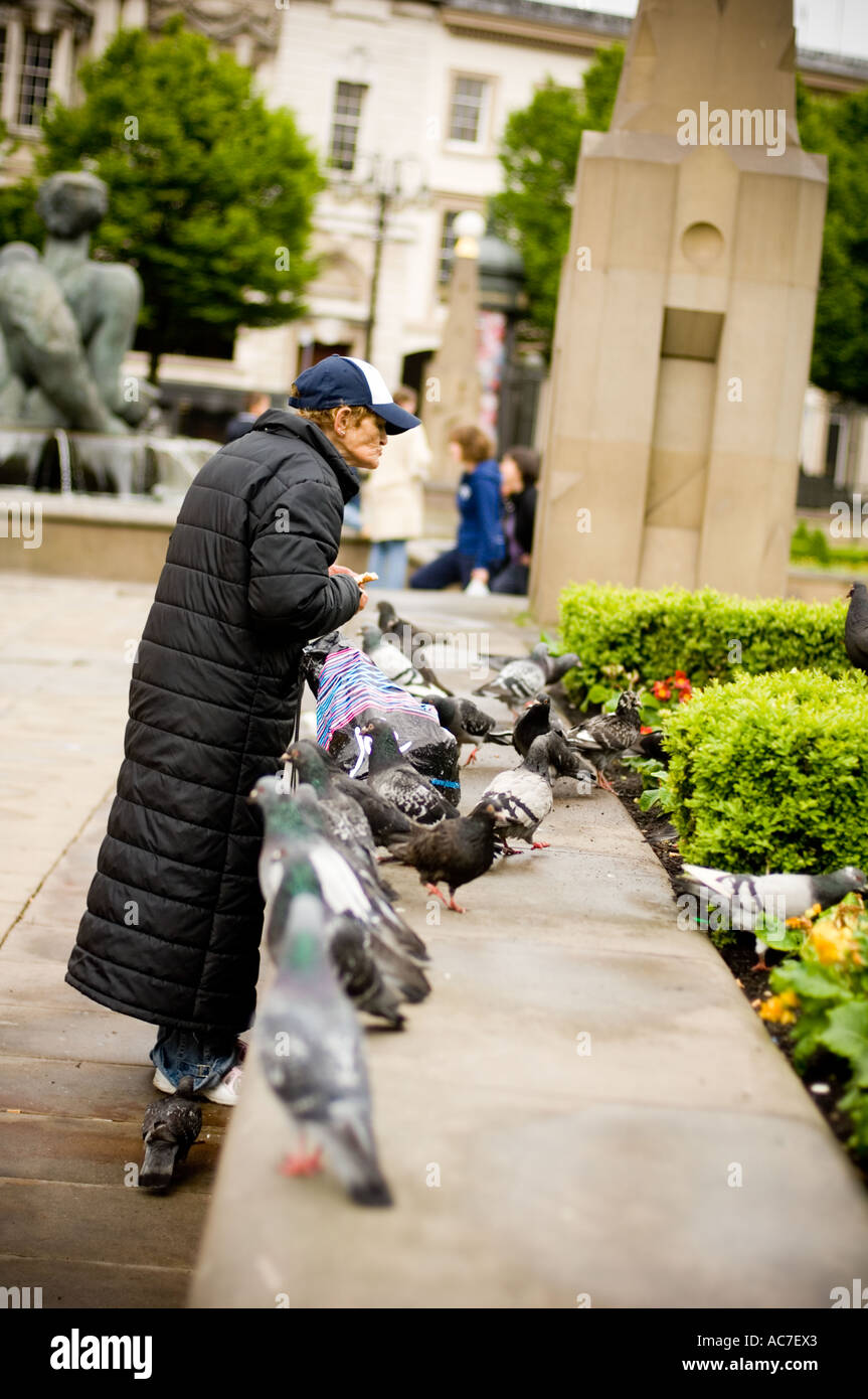 Vieille Femme feedng urbain pigeons sauvages Birmingham City Centre Banque D'Images
