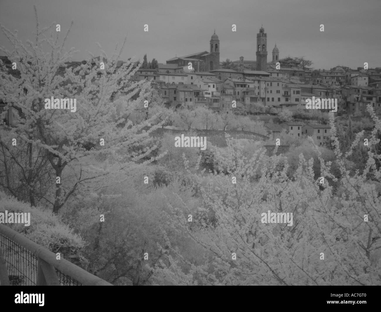 AJD35115, Toscane, Italie, Montalcino, Toscane, Europe Banque D'Images