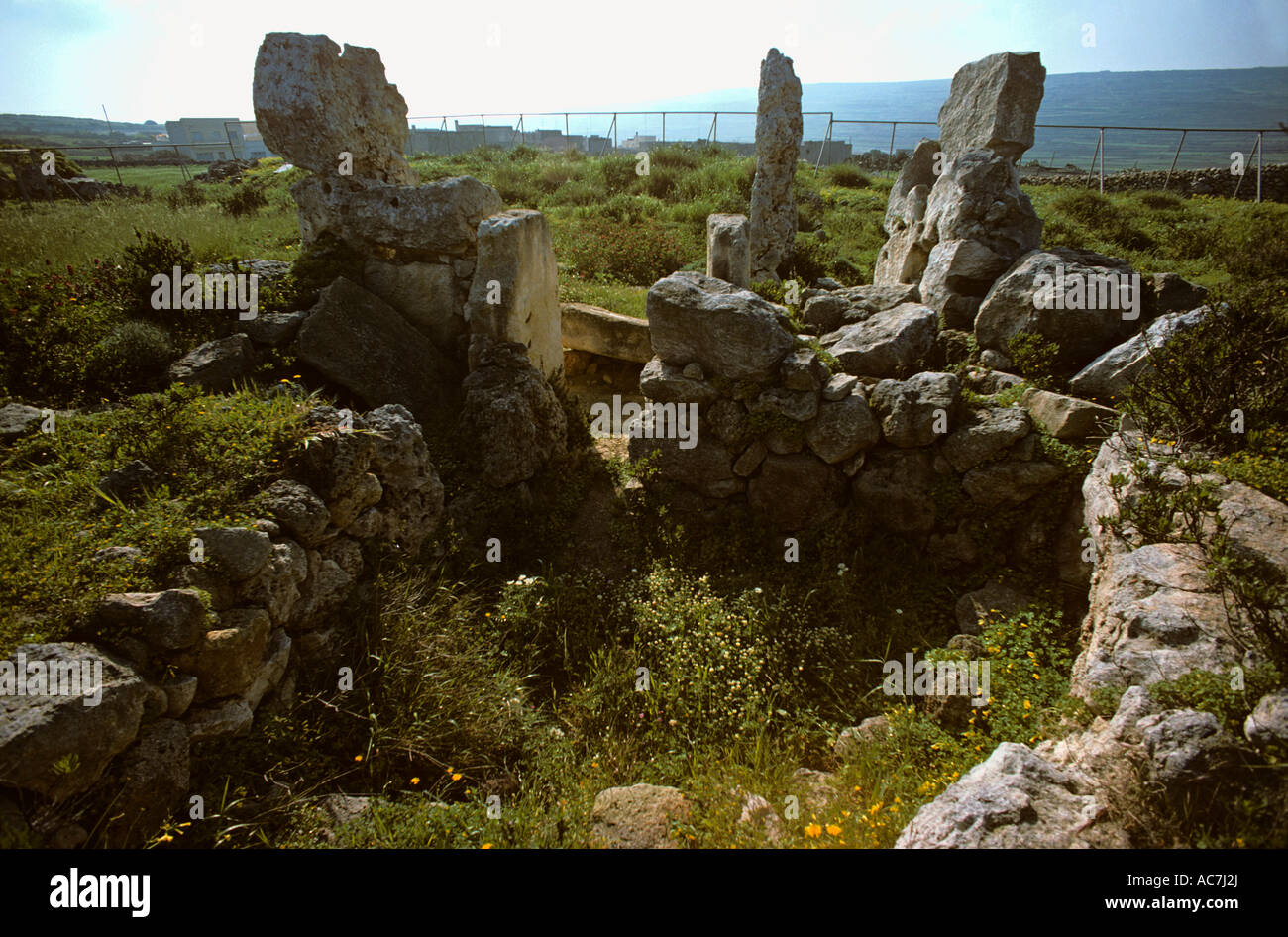 Ruines du temple de Skorba Malte s plus vieux temple à Zebbieh vers 3500 av. Banque D'Images