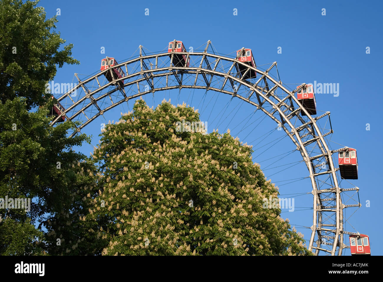Grande Roue du Prater de Vienne Autriche au printemps fleurs de châtaigniers Banque D'Images