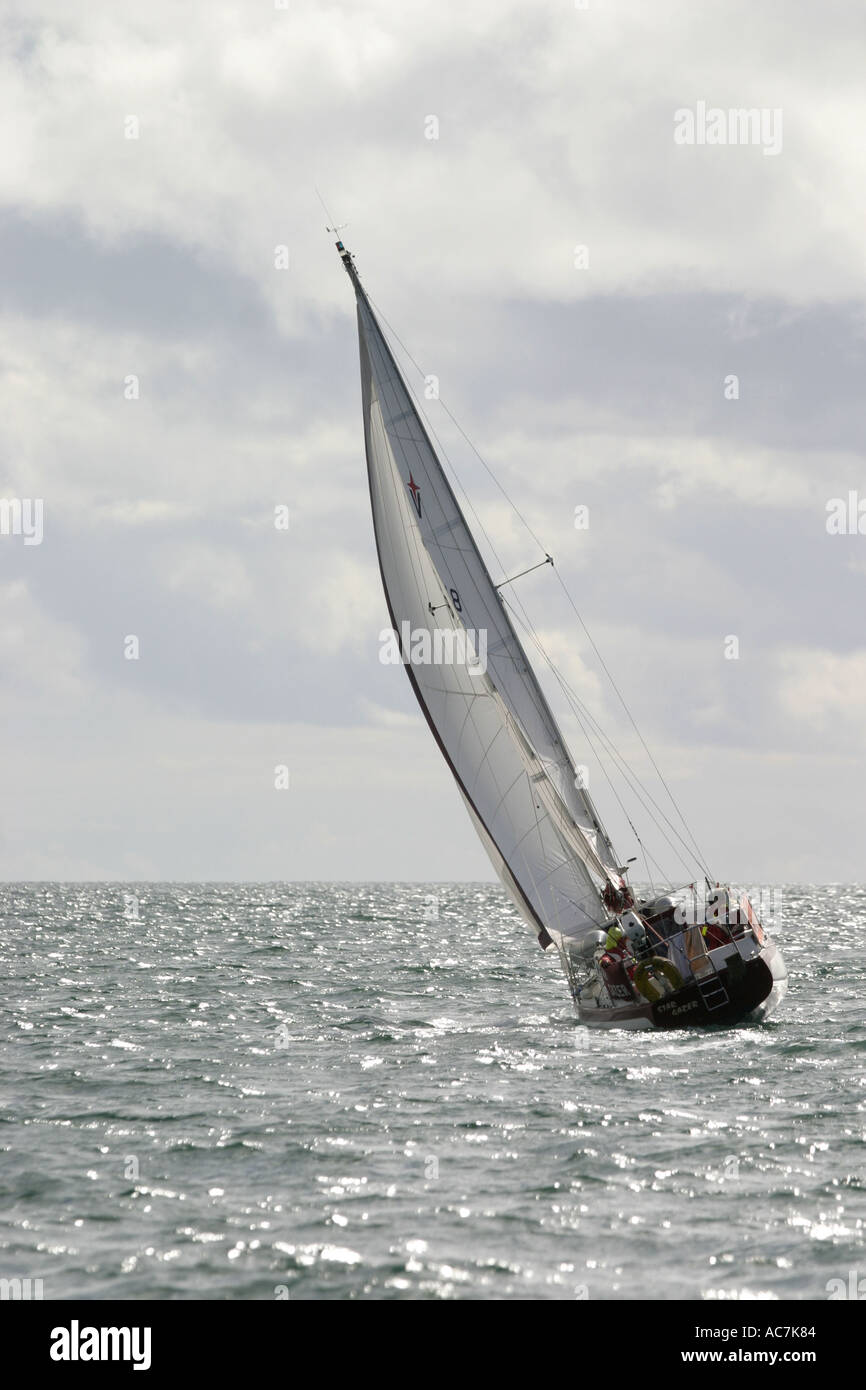 Location dans le Firth of Lorne SAC au large de la côte ouest d'Écosse. Ce disponibles s'appuie dans le vent qu'il négocie le Firth of Lorn. Banque D'Images