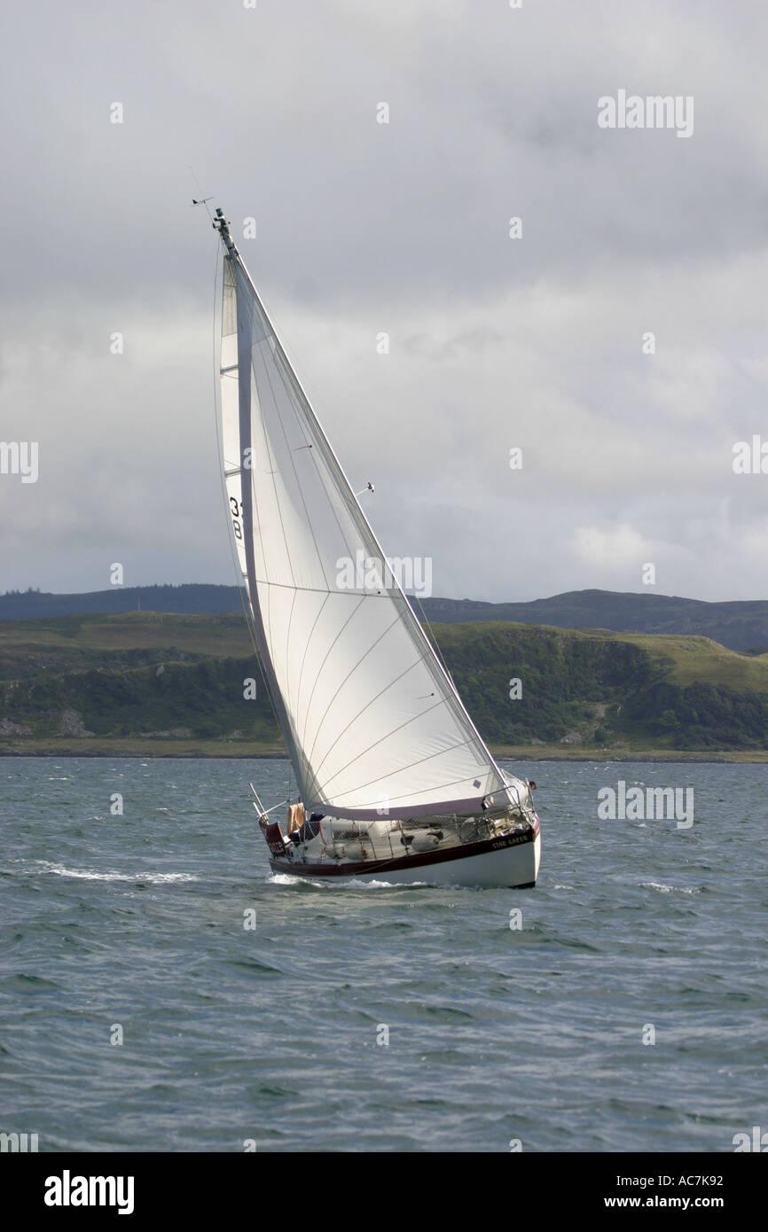 Location dans le Firth of Lorne SAC au large de la côte ouest d'Écosse. Ce disponibles s'appuie dans le vent qu'il négocie le Firth of Lorn. Banque D'Images