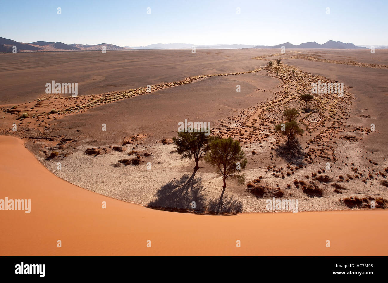 Les dunes de sable de Sossusvlei Namibie tour de l'Afrique jusqu'à 200m au-dessus du fond de la vallée Banque D'Images