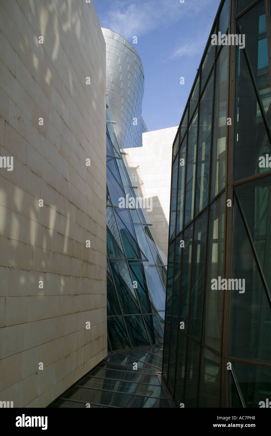 Vue extérieure du Musée Guggenheim de Bilbao, Pays Basque, Espagne Banque D'Images