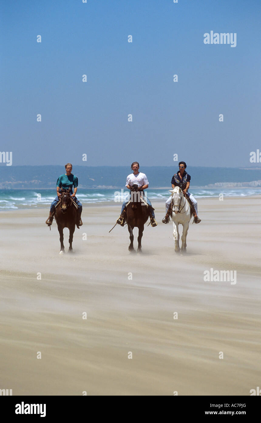 Trois chevaux arabes avec cavaliers sur la plage Banque D'Images