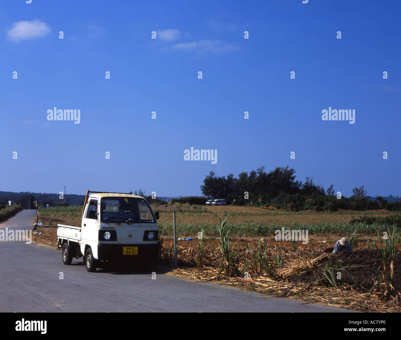 'K' petite camionnette avec moteur 660cc. Populaire avec les agriculteurs locaux sur l'île d'Okinawa Banque D'Images