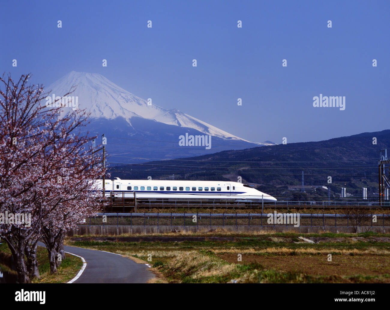 Le Mont Fuji, Cherry Blossom et Shinkansen bullet train. Banque D'Images