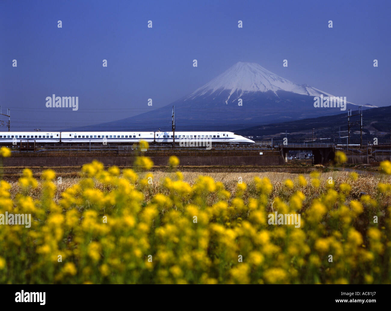 Le Mont Fuji et Shinkansen bullet train. Banque D'Images