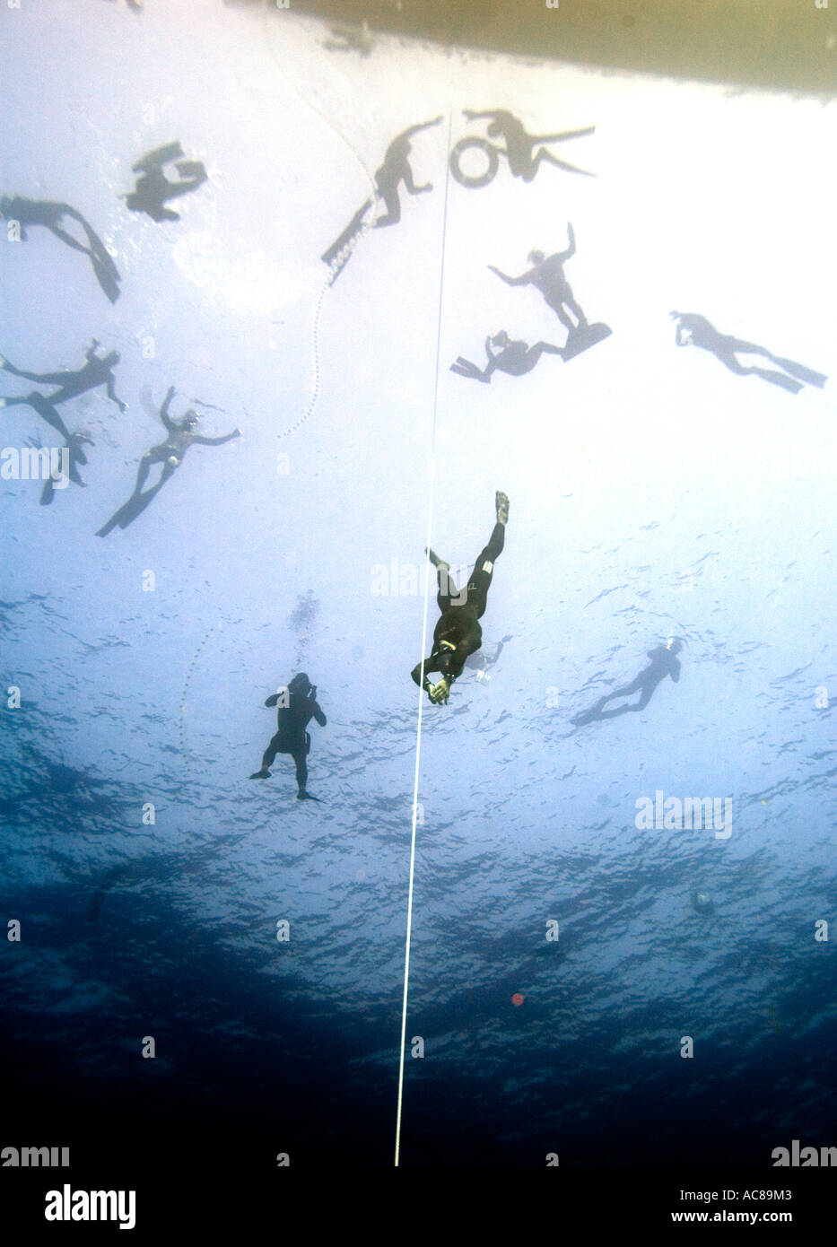 Un free diver remonte à la surface après avoir pratiqué au-dessous d'autres plongeurs libres flottant à la surface Banque D'Images