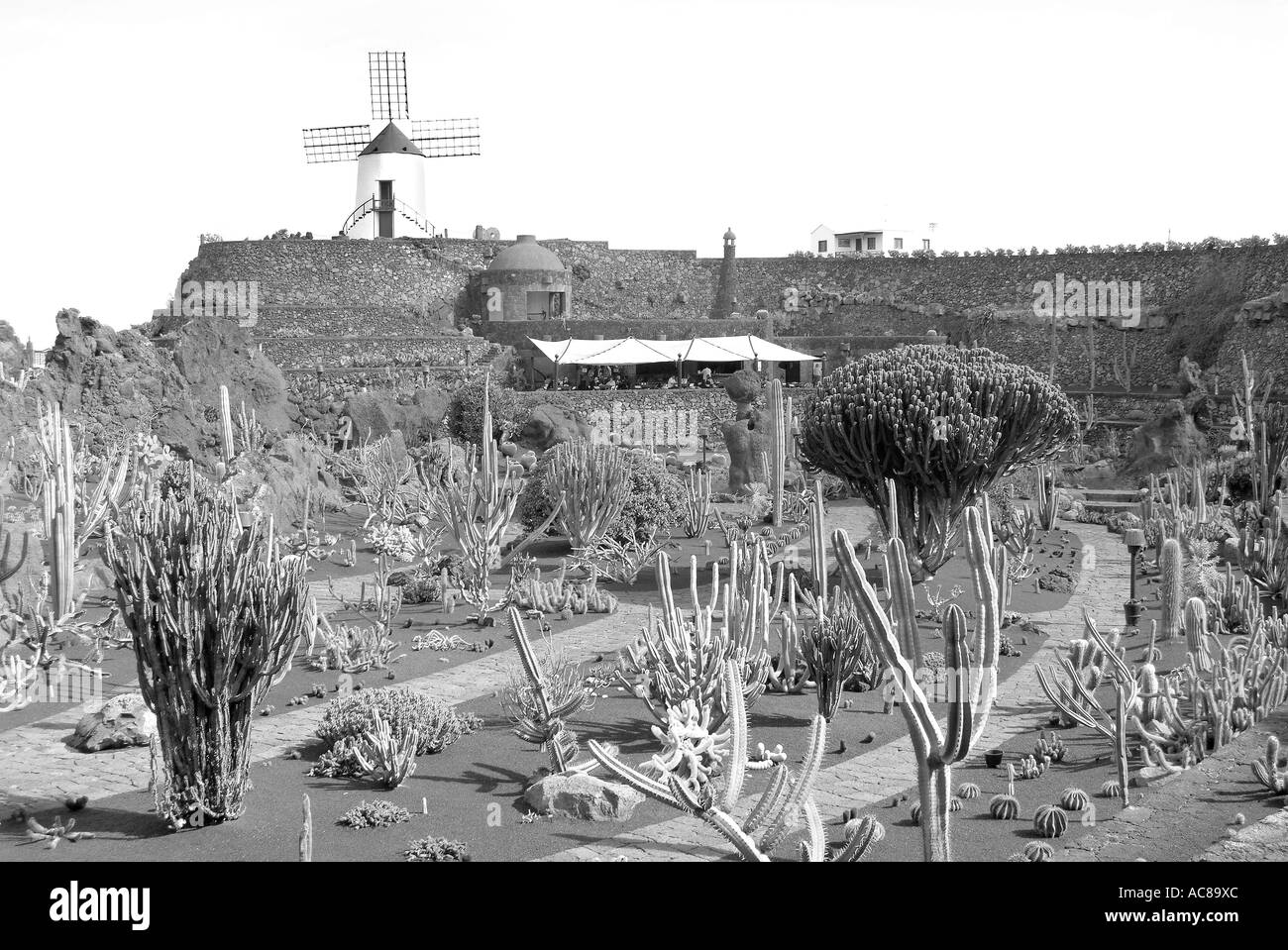 Jardin de cactus canaries Lanzarote Inseln Kanarische Kaktusgarten Banque D'Images