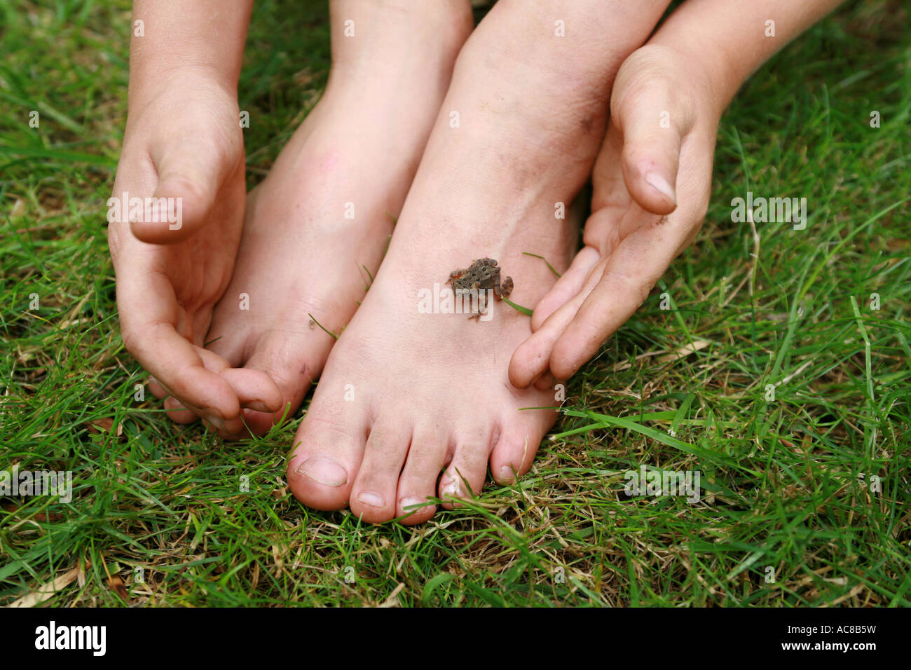 Photo d'un garçon la collecte d'un crapaud perché sur son bébé Pieds sales dans l'herbe Banque D'Images