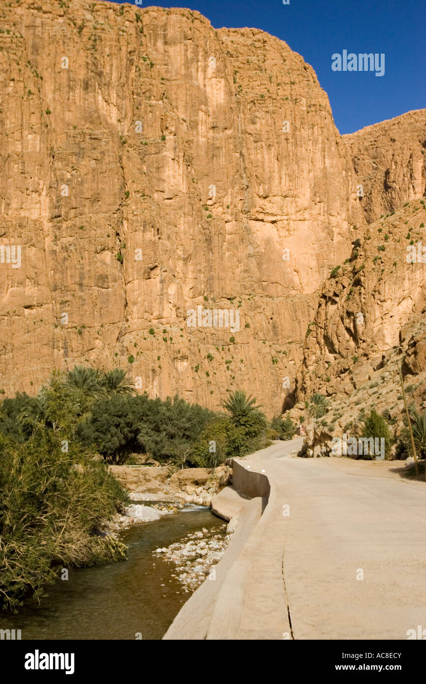 La route mène dans entre les falaises des gorges du Todra Maroc Banque D'Images