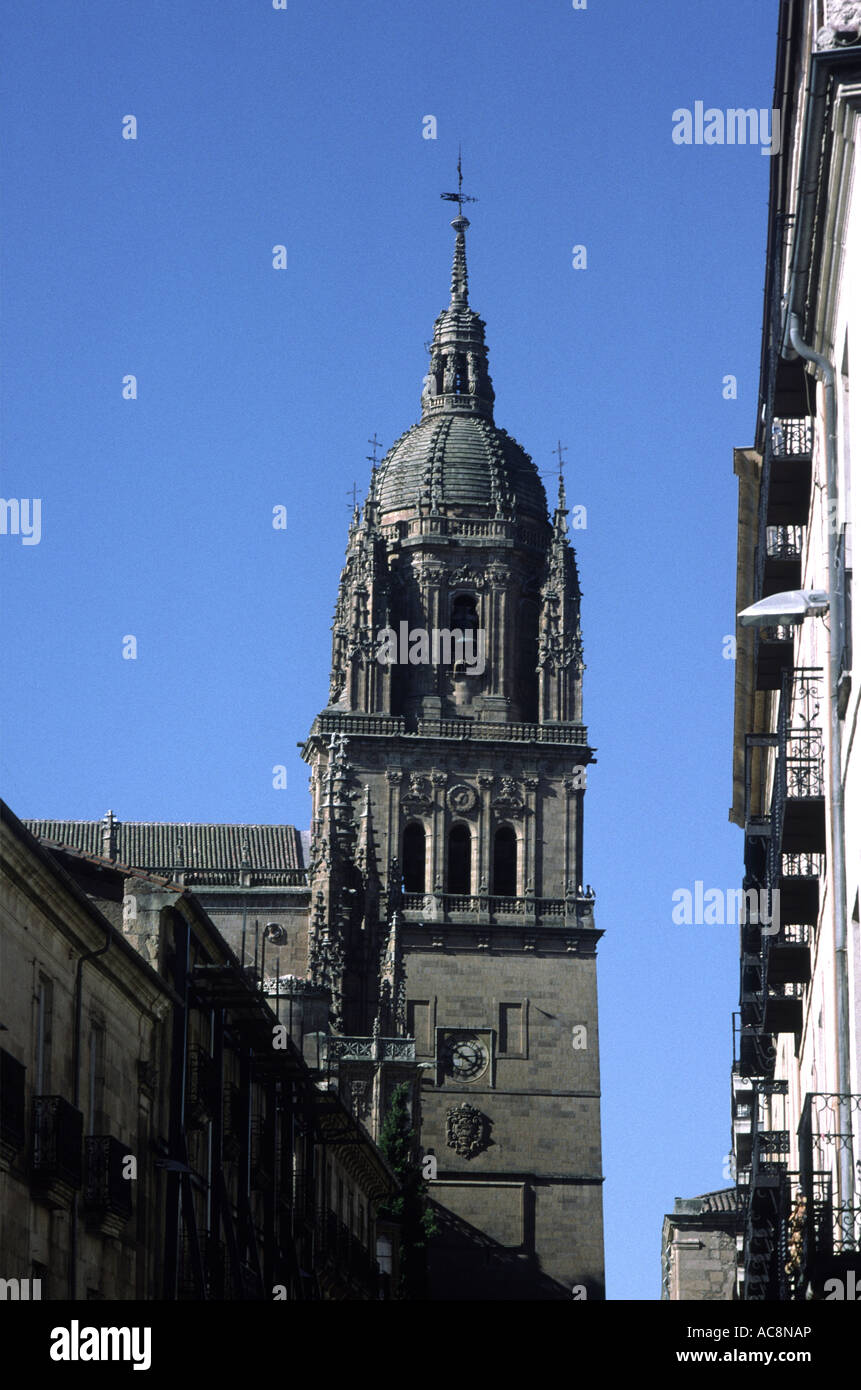 La cathédrale de Salamanque Castille et Leon Espagne Banque D'Images