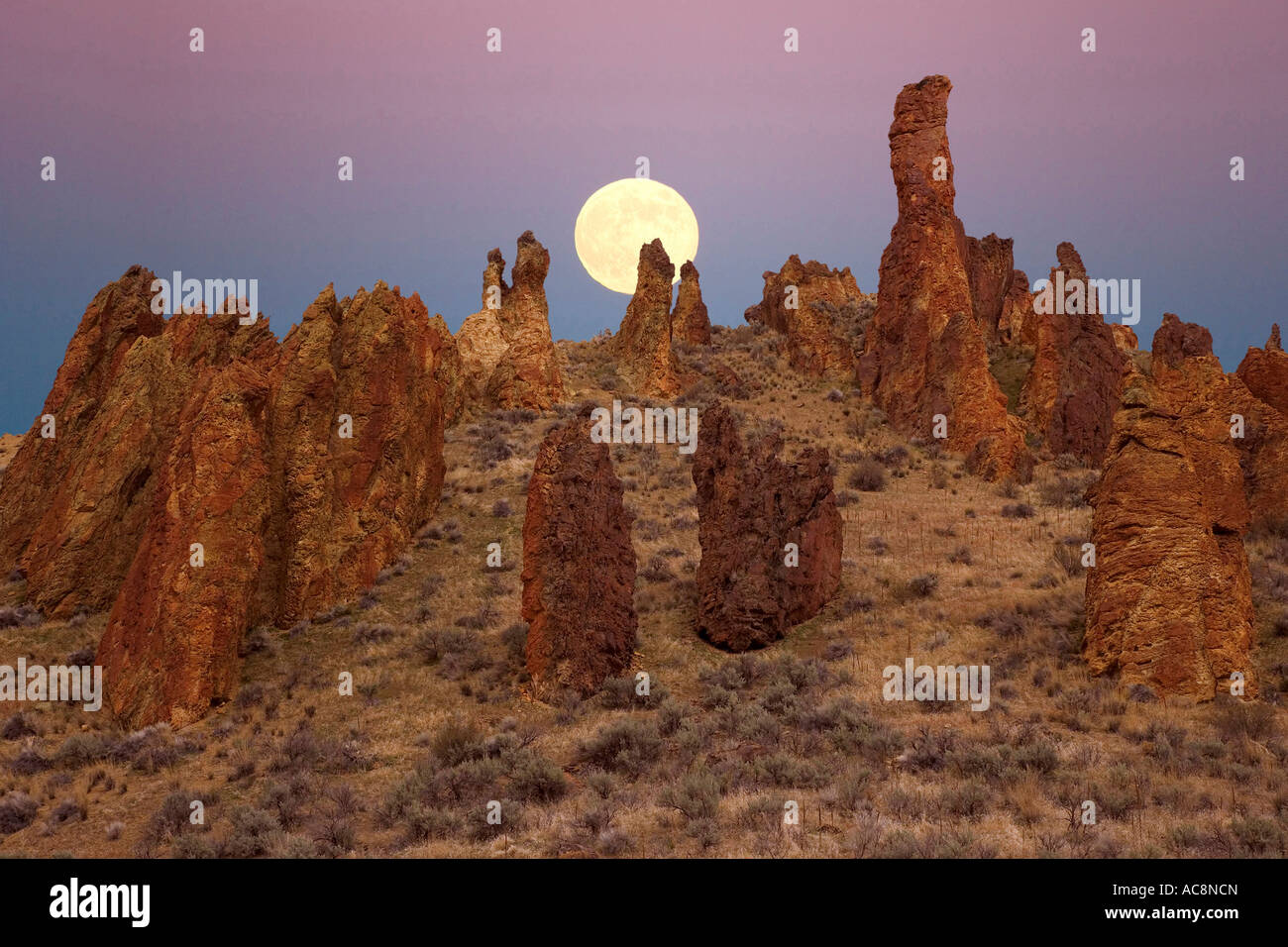 Pleine lune s'élève au-dessus de formations rocheuses, Leslie Gulch, Oregon, USA Banque D'Images