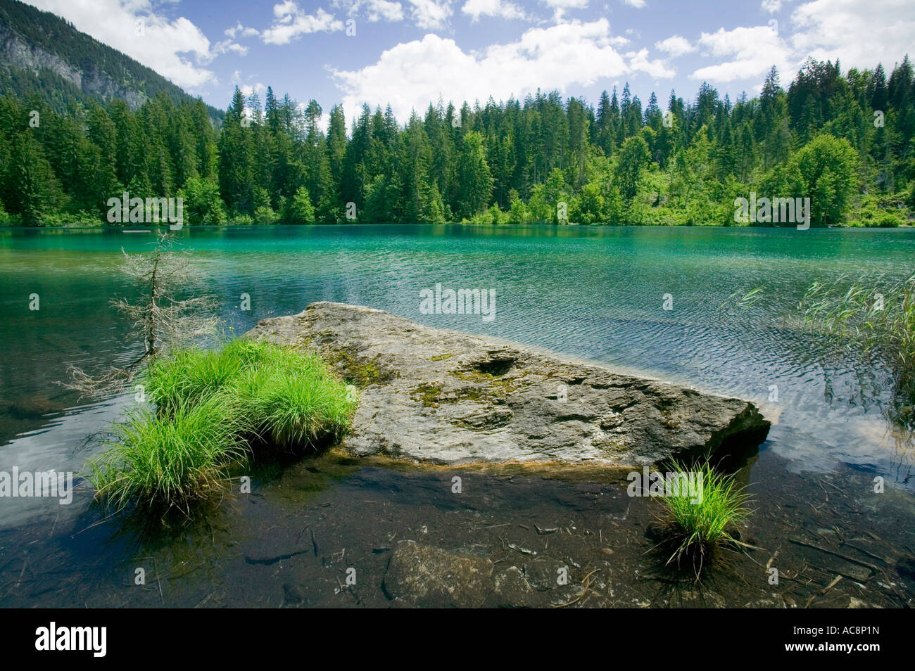 Lake près de Cresta Flims, Suisse Banque D'Images