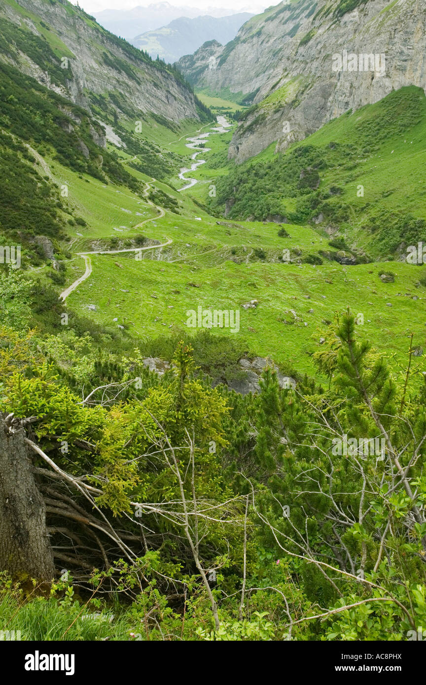 Une vallée dans les Alpes suisses, au-dessus de Bargis, près de Flims Banque D'Images