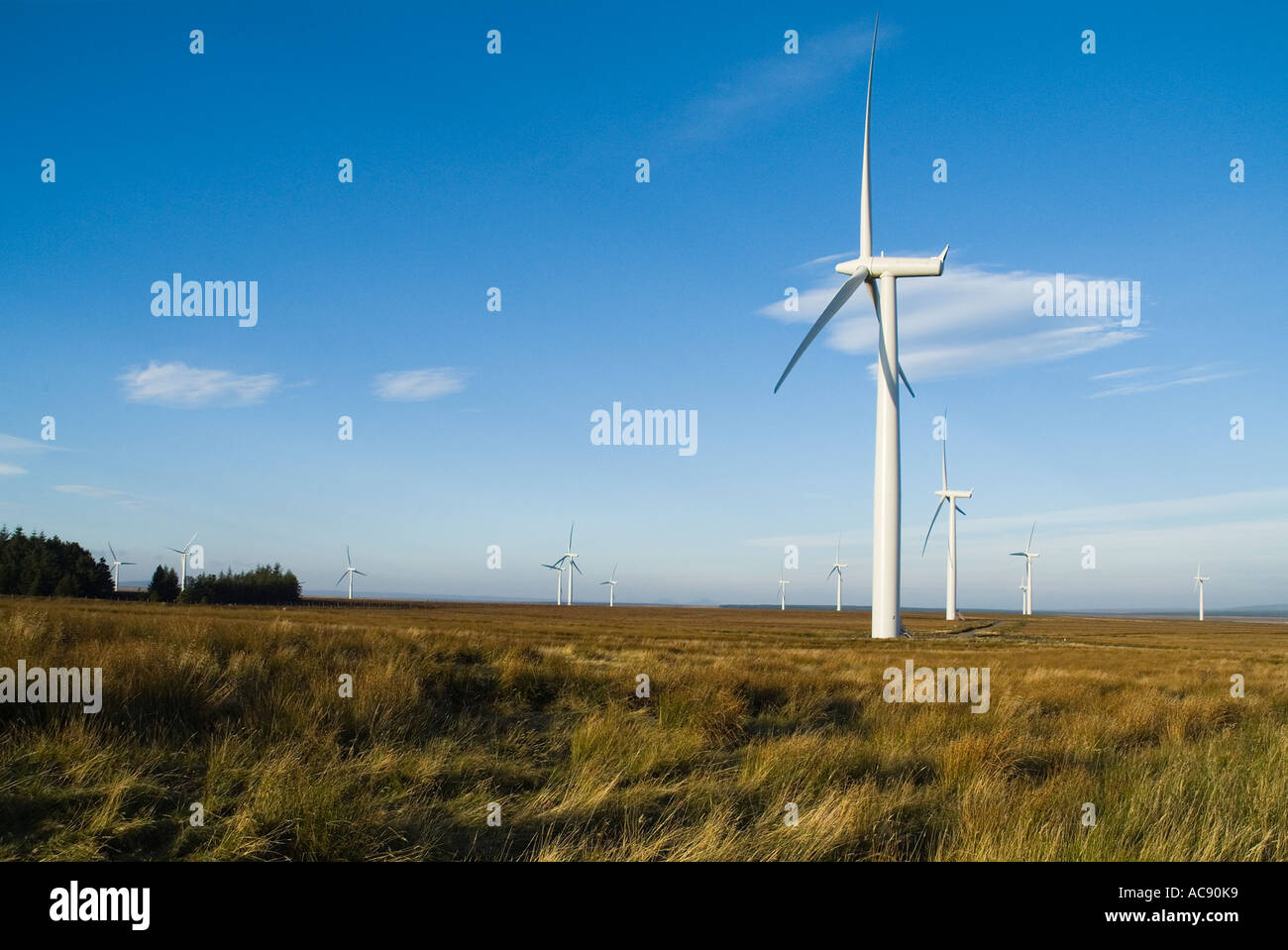 dh Causeymire Windfarm NPOWER ELECTRICITY CAITHNESS ECOSSE RWE renouvelables National Énergie éolienne ferme éolienne renouvelable pays de flux Banque D'Images