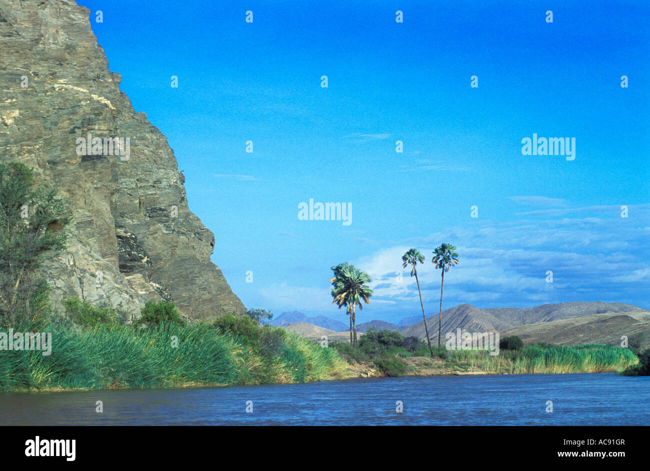Avec la rivière Kunene Makalali palmiers et montagnes en arrière-plan Serra Cafema ; Namibie Banque D'Images