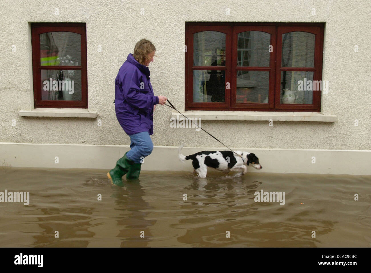 Femme avec chien en laisse marcher passé chambre sur rue inondée à Crickhowell après la rivière Usk éclater ses rives Powys Pays de Galles UK Banque D'Images