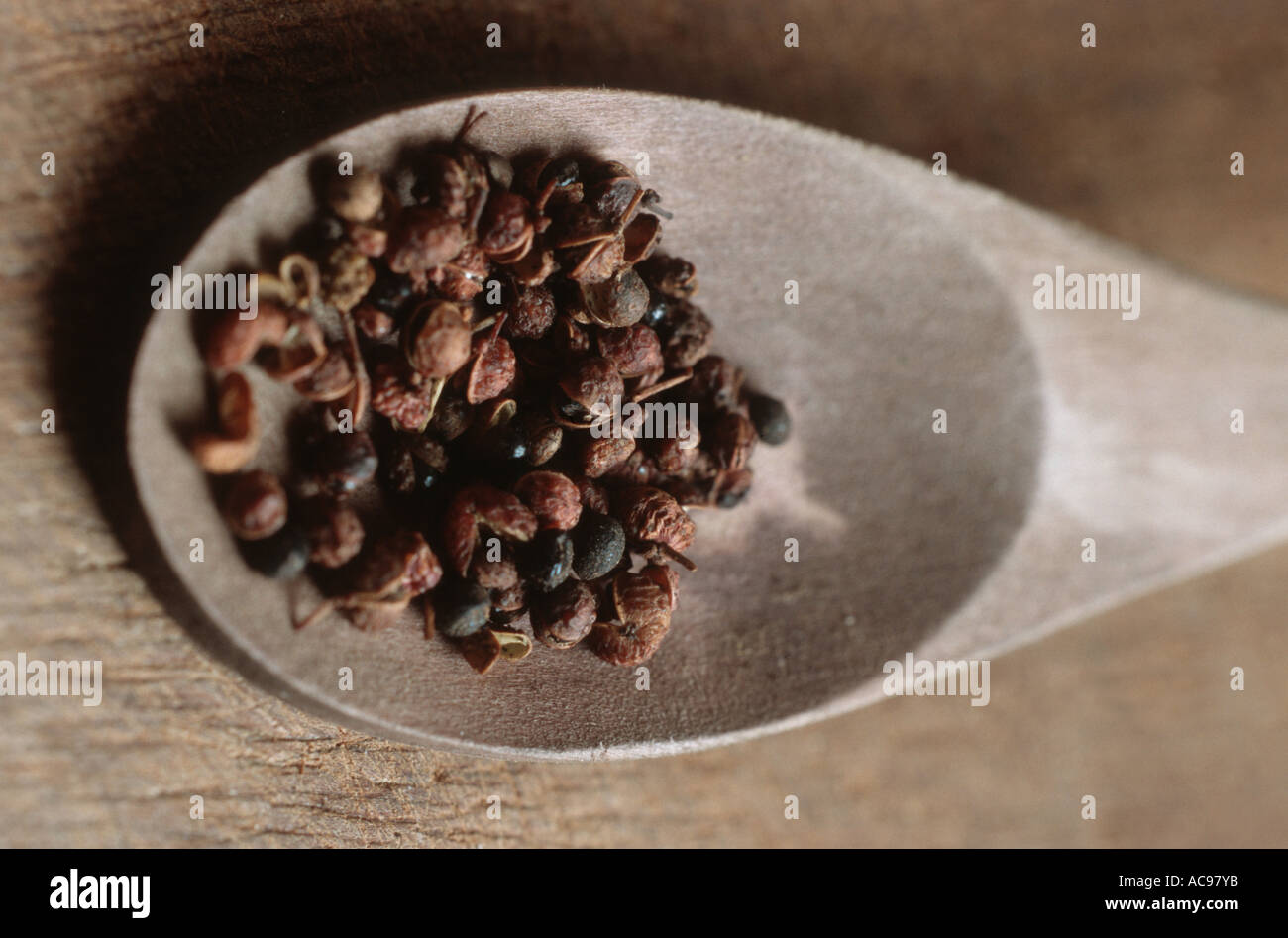 Poivre de Sichuan, poivre Szetchwan, Anis, poivre, poivre poivre Sprice chinois, japonais, japonais poivre prickly ash (Zanthoxyl Banque D'Images