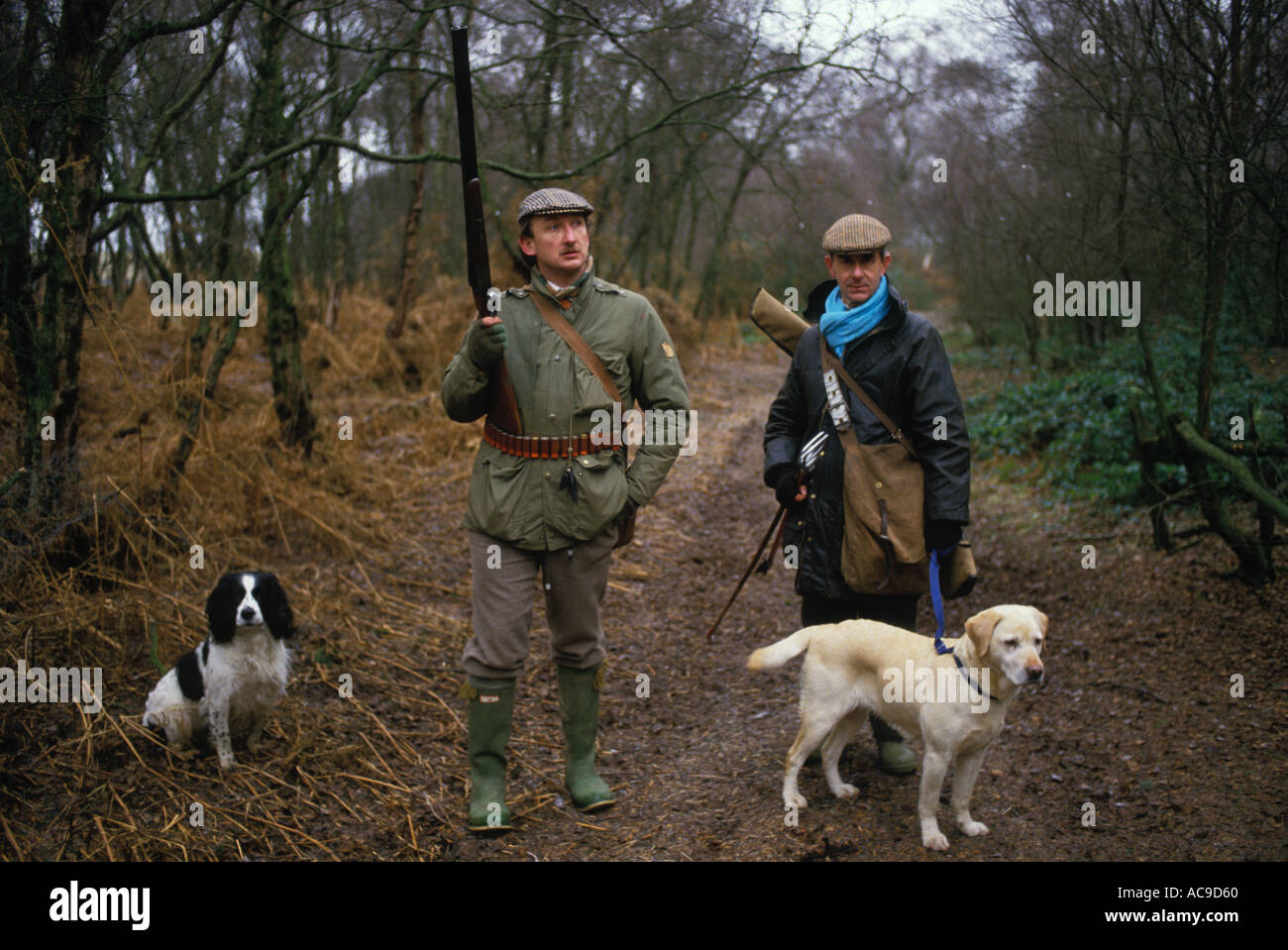 Gibier Bird Shoot UK Pheasant Shooting Private Estate Lancashire. sport rural. Tireur, cueilleur supérieur et ses chiens d'arme de travail. Années 1980 années 80 HOMER SYKES Banque D'Images