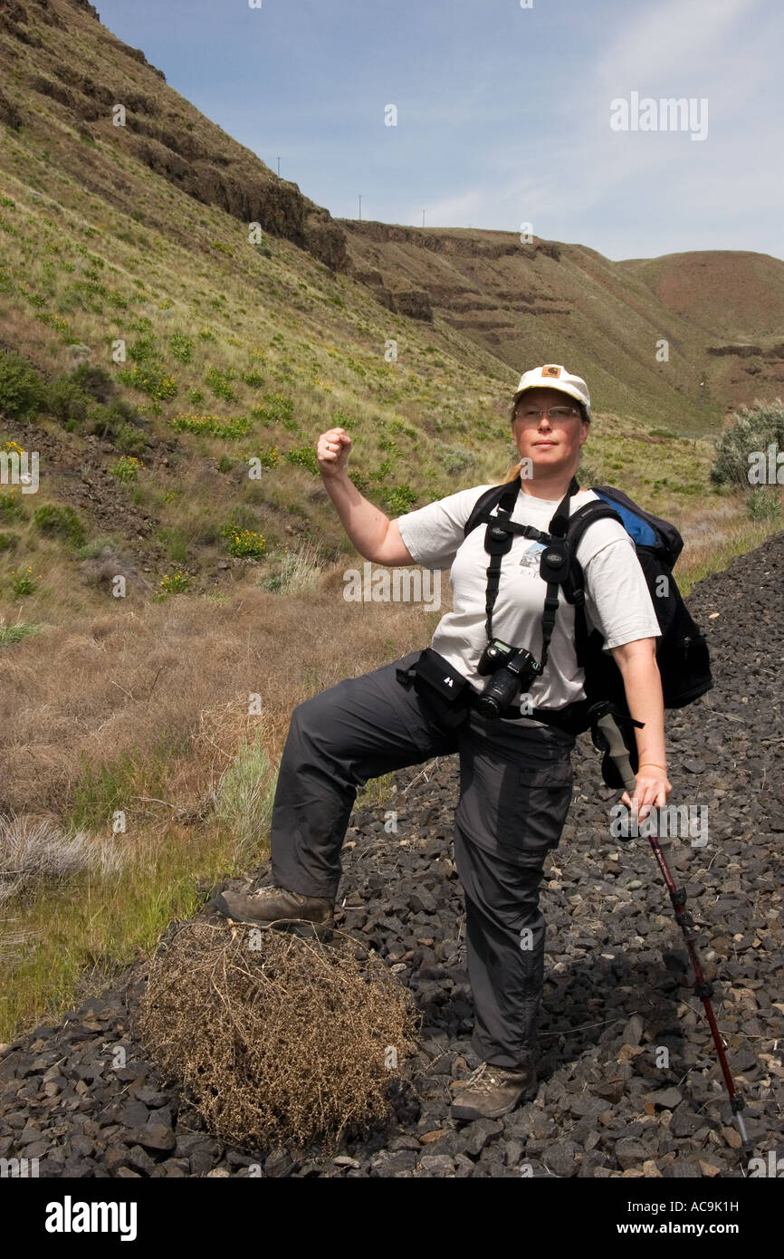 Un randonneur conquiert un buisson de tumbleweed dans Devil s Canyon Washington Banque D'Images