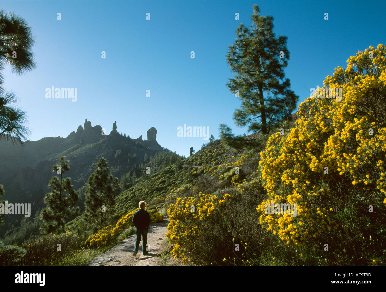 Roque Nublo randonnée Gran Canaria Espagne Banque D'Images