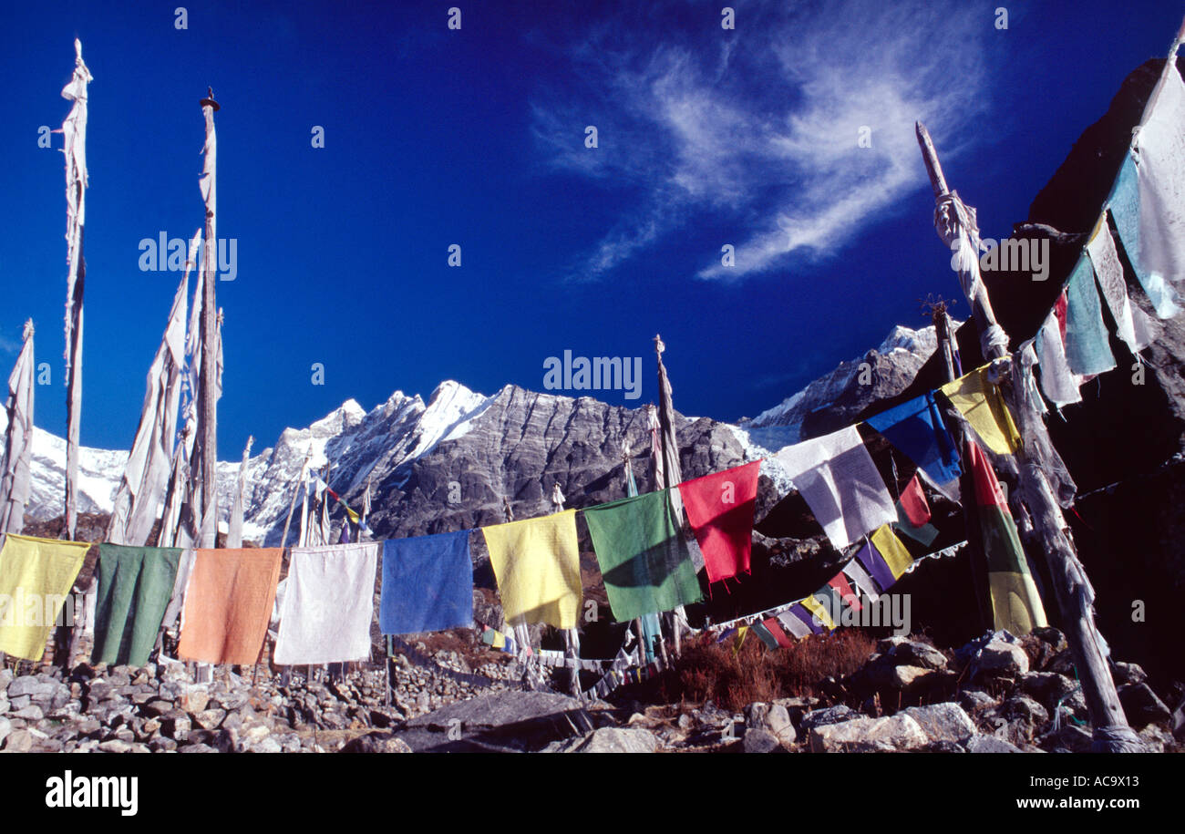 Les drapeaux de prières dans le Langtang, Népal Banque D'Images