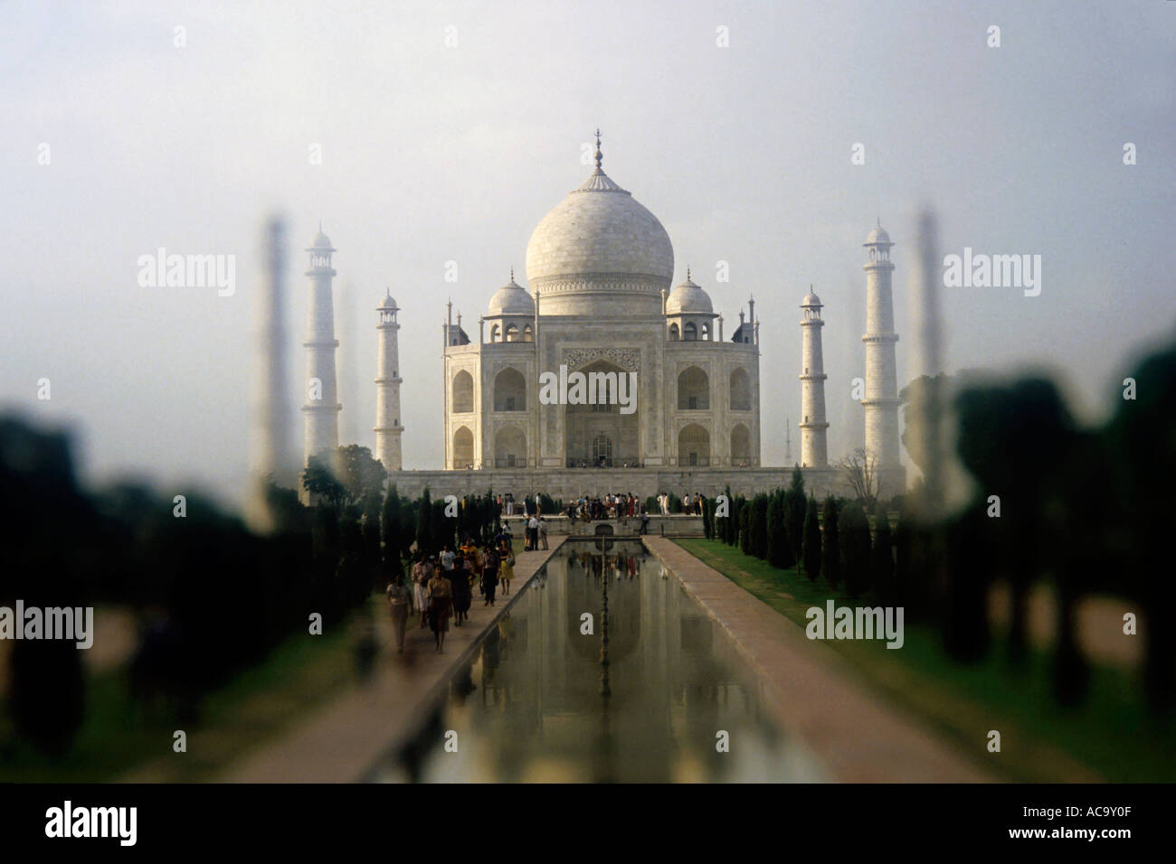 Le Taj Mahal, Agra, Inde Tilt Shift effet focus Banque D'Images