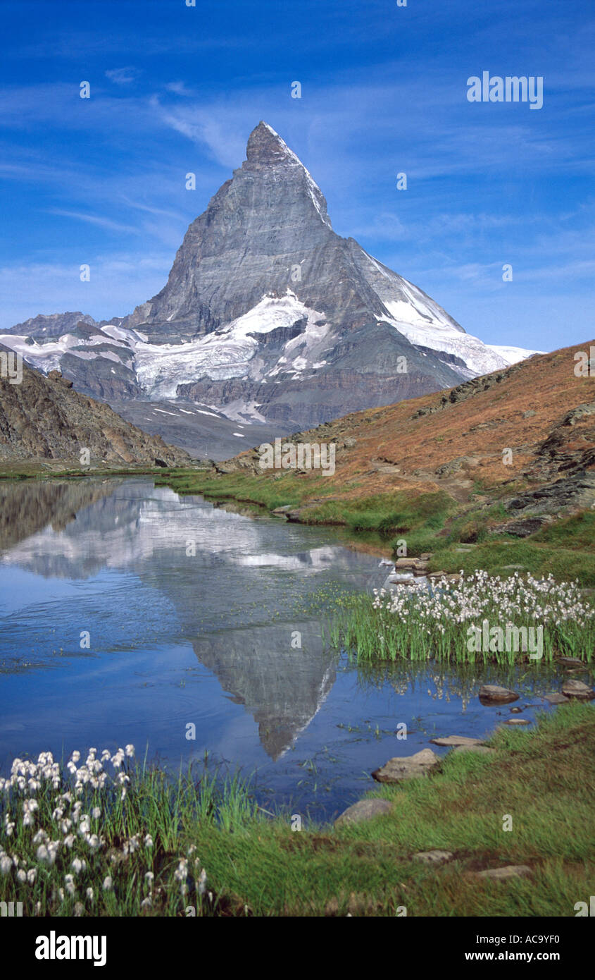 La linaigrette et Cervin se reflétant dans les eaux de l', Riffelsee Valais, Suisse Banque D'Images