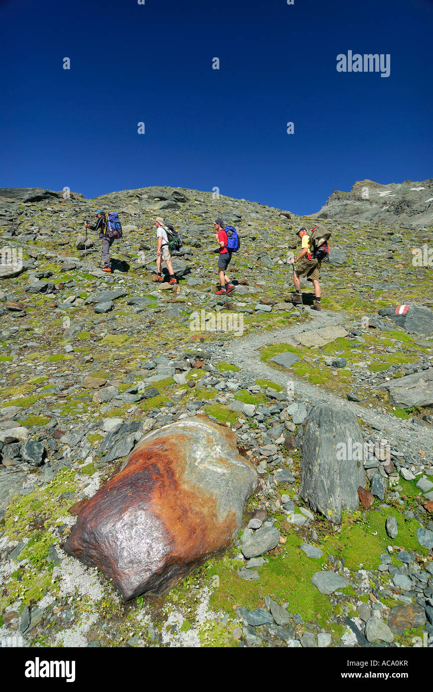 Quatre randonneurs de grimper, Parc National Hohe Tauern, Tyrol, Autriche Banque D'Images