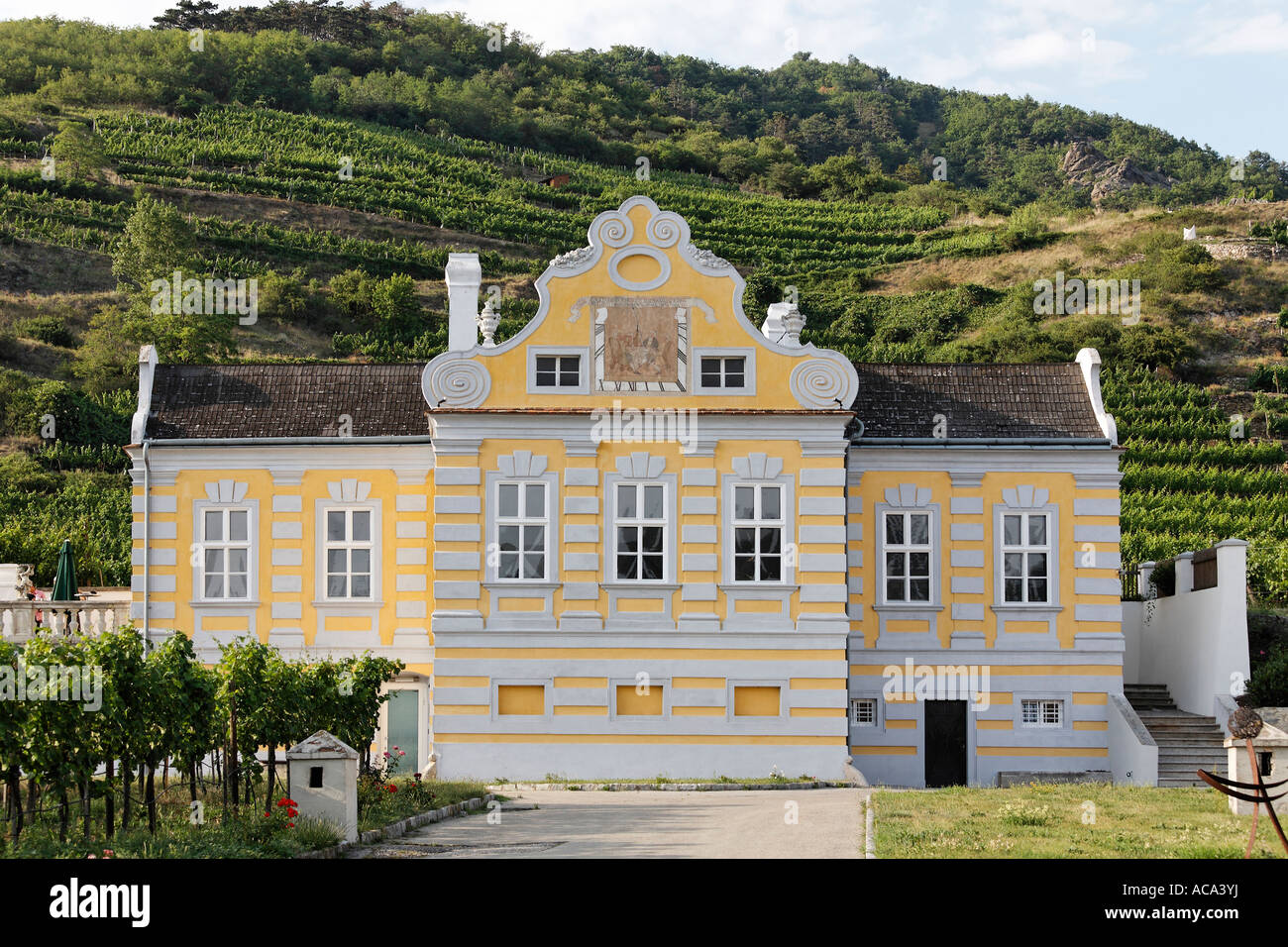 Château de vin, Kellerschloessl, Unterloiben, Duernstein, Wachau, Basse-Autriche, Autriche Banque D'Images