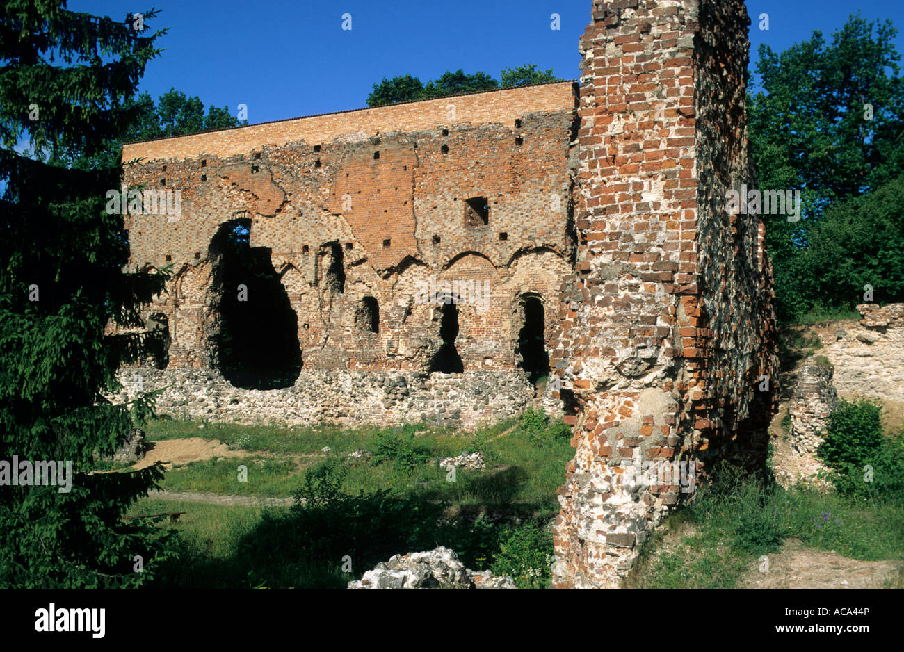 Ruine de l'Ordensburg, Tallinn, Estonie Banque D'Images