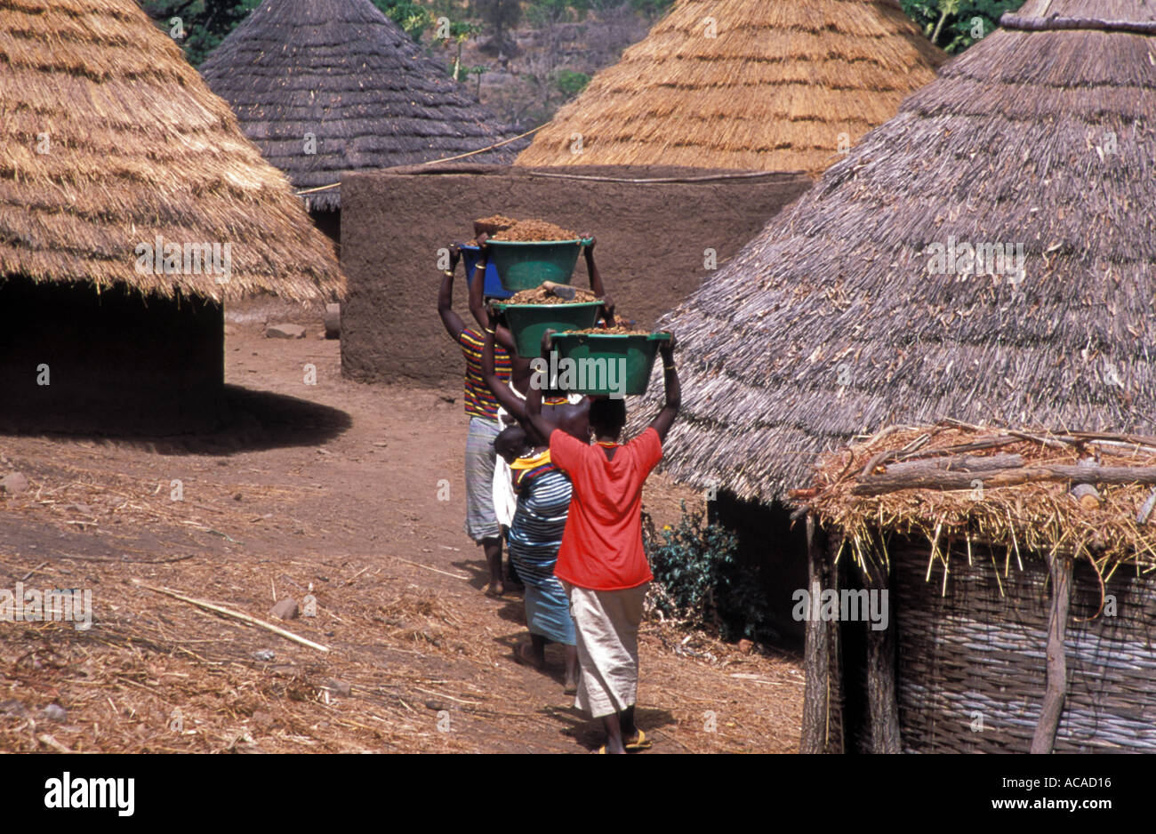 Village des femmes portant la masse de boue pour la construction hut Banque D'Images